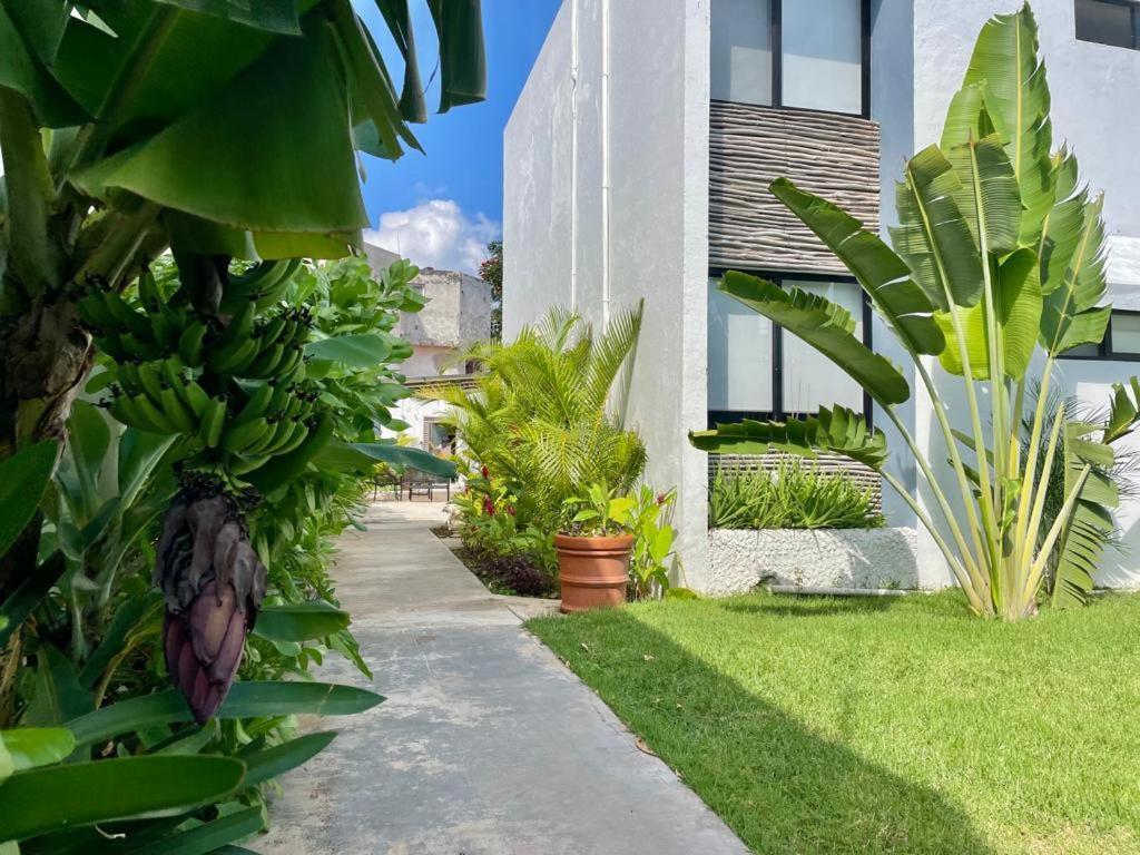 Aldeazul By Andiani Travel Apartment Cancun Exterior photo